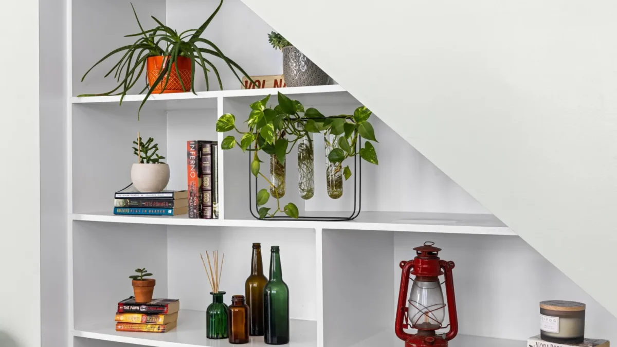 How to Propagate Pothos: Water and Soil Methods