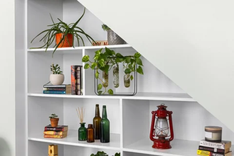 Pothos
